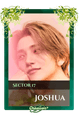 Joshua