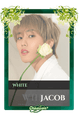 Jacob