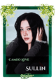 Sullin
