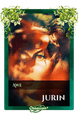 Jurin